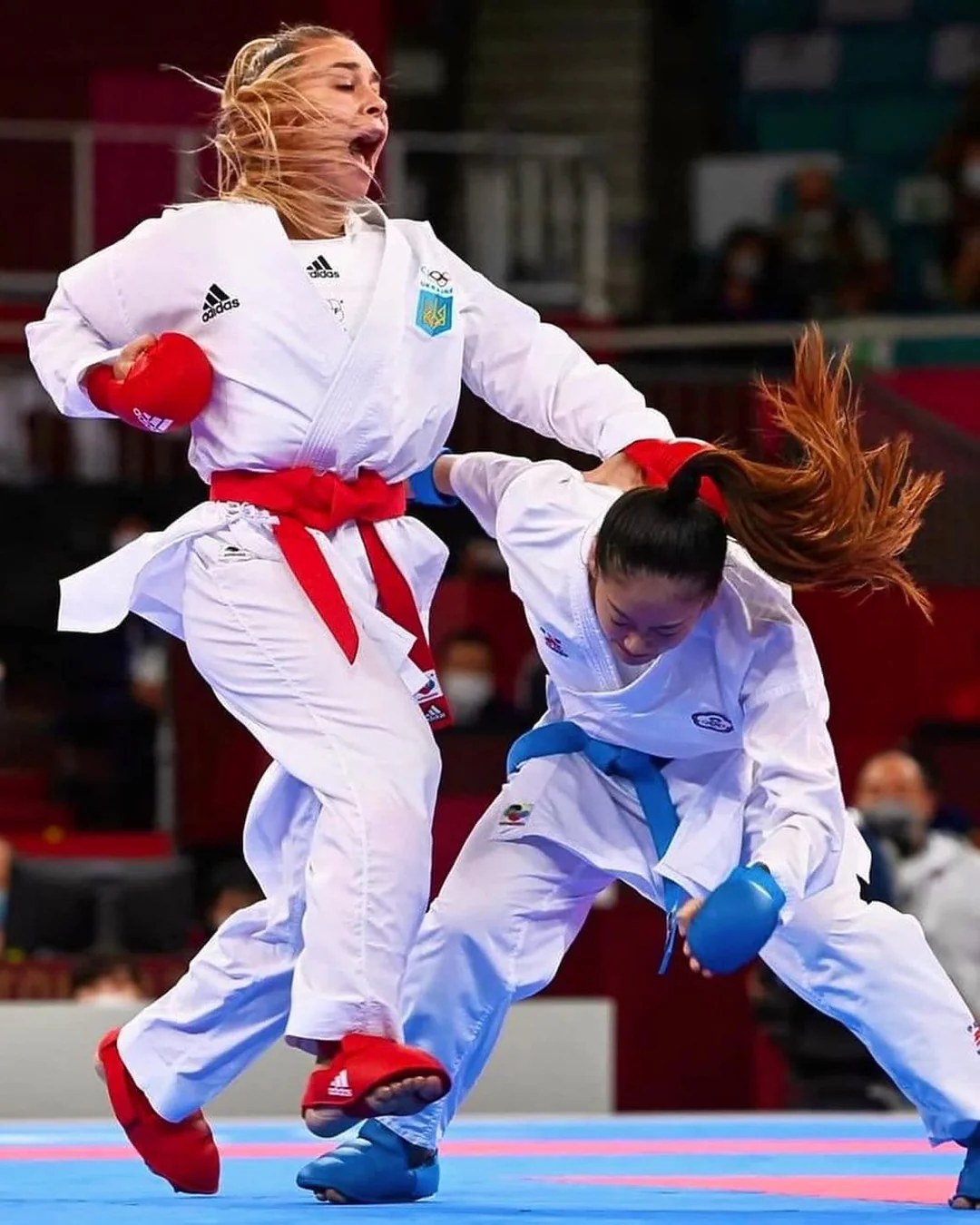 Master Your Martial Arts Journey